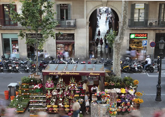 Apartment: Rambla 102